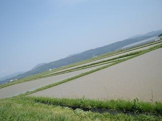 庄内平野