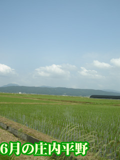 日本の原風景ですね～