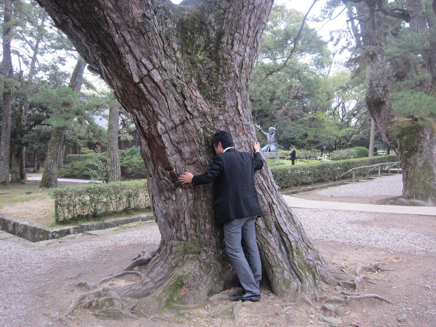 由緒ある？木に祈る・・・