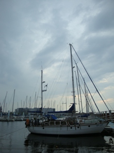 DSC01657-1.jpg